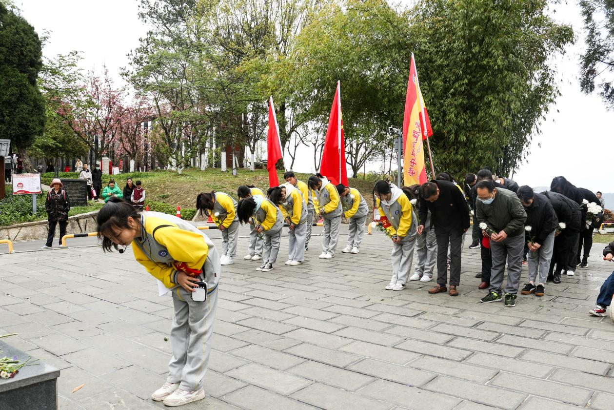 图片5