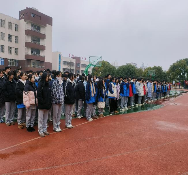 图片3